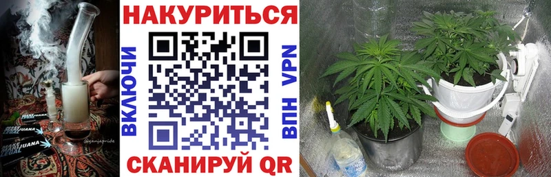 Бошки Шишки Bruce Banner Купить где Пошехонье